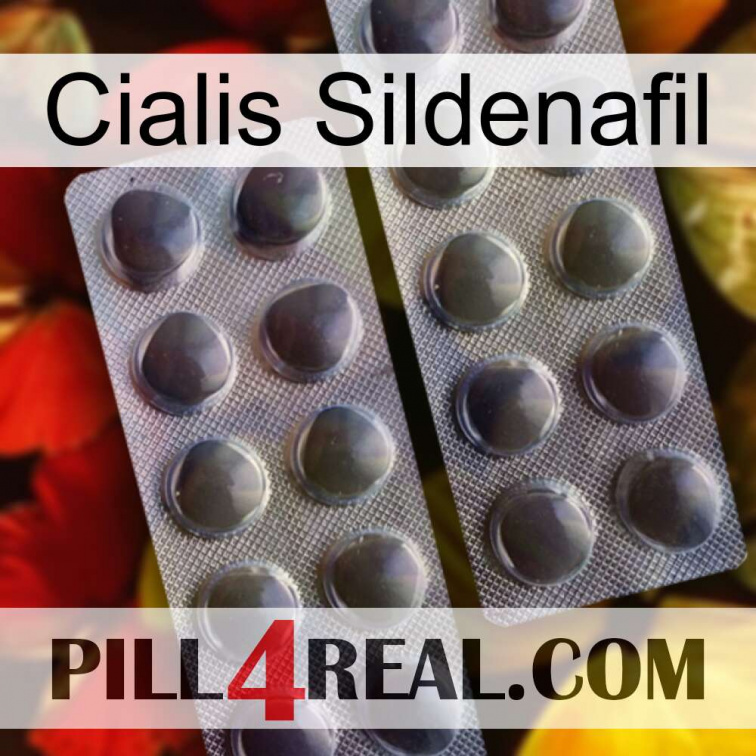 Cialis Sildenafil 31